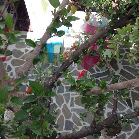 Arian Hotel Parikia (Paros) Exterior photo