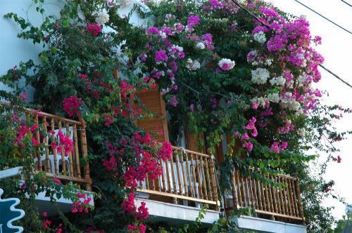 Arian Hotel Parikia (Paros) Exterior photo