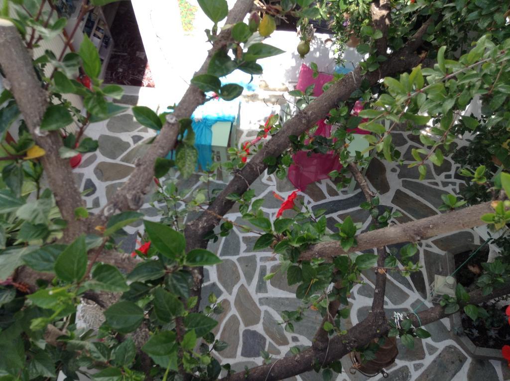 Arian Hotel Parikia (Paros) Exterior photo